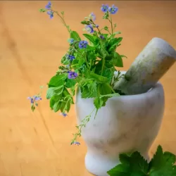 Herbs with pestle and mortar